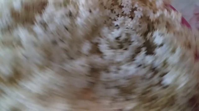 Квас из цветков бузины .Напиток на лето смотреть онлайн