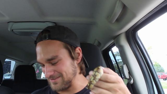 MORPH MARKET REVIEW! BUYING MY FIRST REPTILE OFF OF MORPH MARKET FROM ANCESTRAL ROYAL PYTHONS! смотреть онлайн