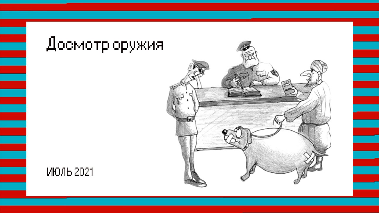 Досмотр оружия