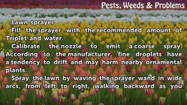 How to Use Triplet Weed Spray смотреть онлайн