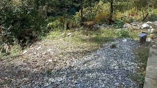 поехали в Чхороцку Самегрело смотреть онлайн