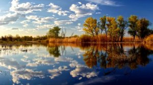 природа Саратова