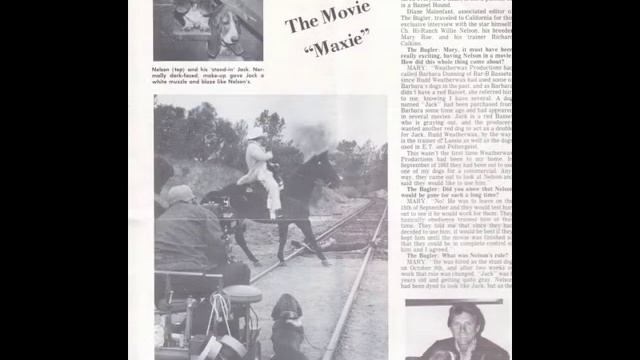 Dog Trainer-Movie Dog Trainer смотреть онлайн