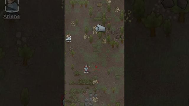 Как охотиться на муффало / Rimworld / Мод «Multiplayer» смотреть онлайн