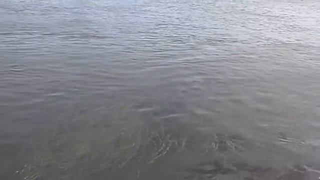 Neva river 23.07.2013 Нева смотреть онлайн