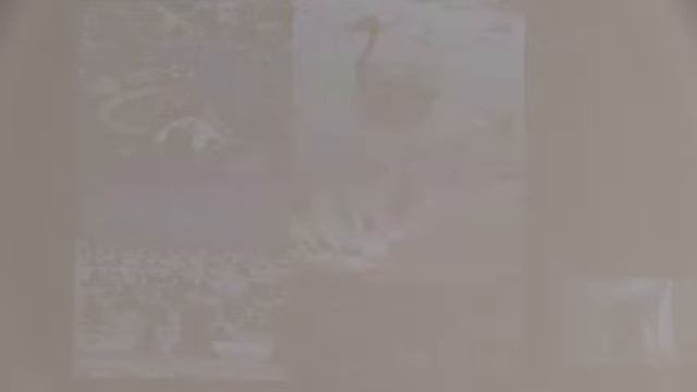 Научно-практическая конференция по физике смотреть онлайн