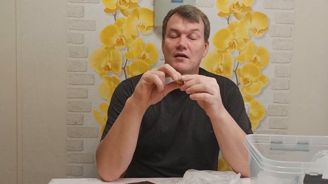 Обзор пчеловодного инвентаря #2 || Пчеловодство для начинающих #пчеловодство #пчелы смотреть онлайн