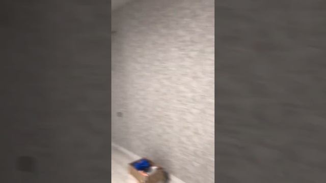 Переделываем ремонт за другой компанией. Через год ожидания поменяли на СитиСтрой. #ошибкиремонта смотреть онлайн