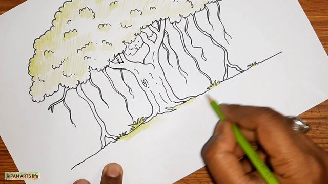 How to draw BANYAN TREE easy | বট গাছ আঁকার সহজ কৌশল | National tree of INDIA easy drawing | смотреть онлайн