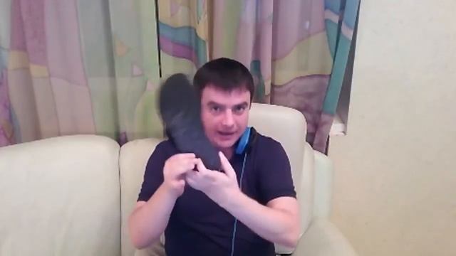 Актёр зашиб кота тапком смотреть онлайн