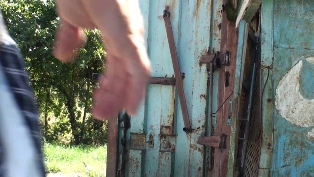 Молодое мурое голубя покрылось.26.08.19. смотреть онлайн