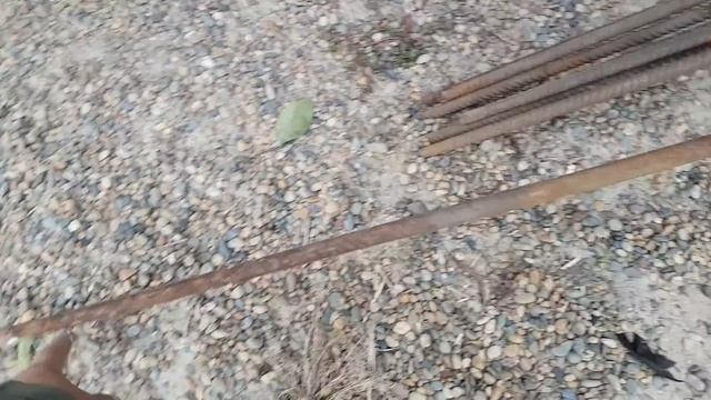 Сажаю новый виноградник, ставлю шпалеры, смотреть онлайн