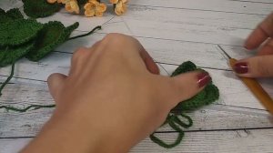 Герань / мастер класс /  крючком