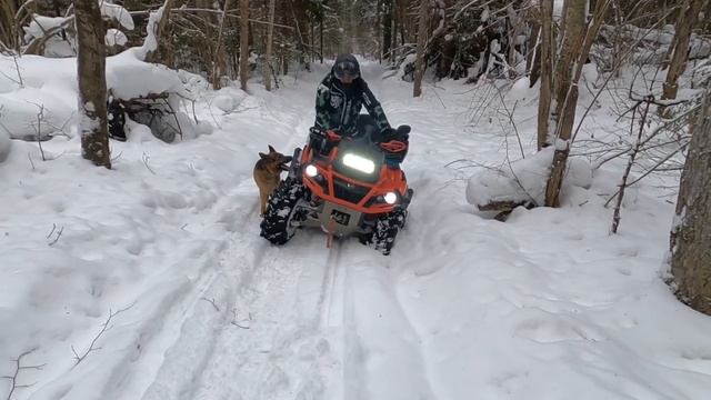ЛайтПокатушки по лесу!!! На снегоходе и квадрике по снегу. Замело!!! Застряли. Зима!! смотреть онлайн