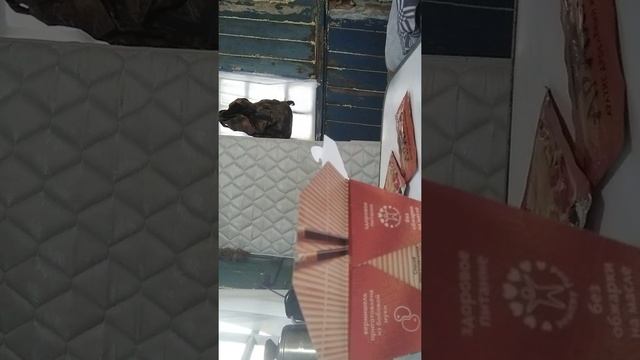 Учебник Самоделки