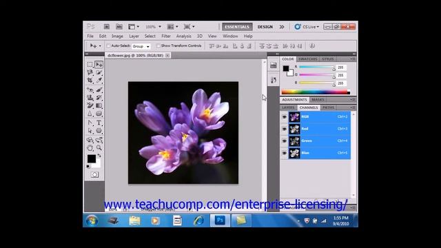 Photoshop CS6 Tutorial Using the Channels Panel Adobe Training смотреть онлайн