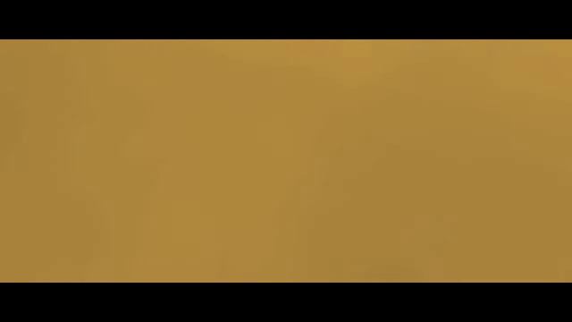 Panda va Yo'lbars taylun jangi uzbek tilida,, KUN-FU PANDA" multfilmidan parcha смотреть онлайн