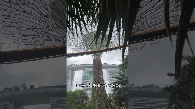 В Сингапур БЕЗ ВИЗЫ ?#туризм #Сингапур #виза #азия #путешествия смотреть онлайн