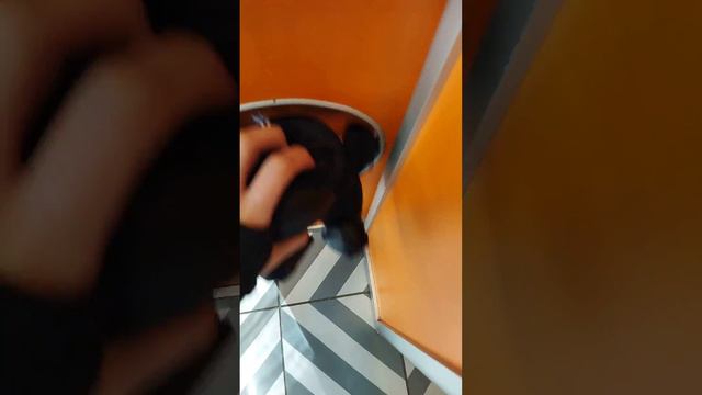МиМи Мишки в апарате с игрушками!!! 🤩🤯🤯🤯🤯🤯 смотреть онлайн