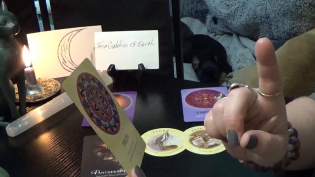 DAILY ORACLE READING w/TARIA "TIMELESS" смотреть онлайн