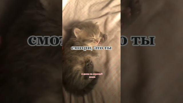 Каждое утро