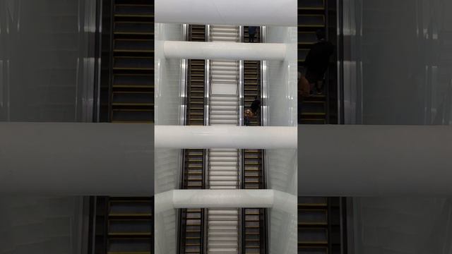 Union Square station Central Subway San Francisco. First day of operation. смотреть онлайн