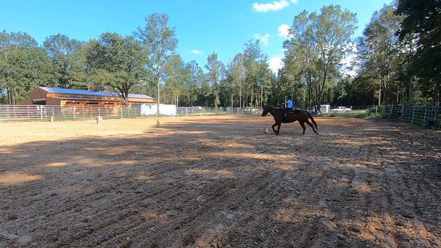 Ride like this girl. 10 yo girl schooling her reining horse. 100th video give away. смотреть онлайн