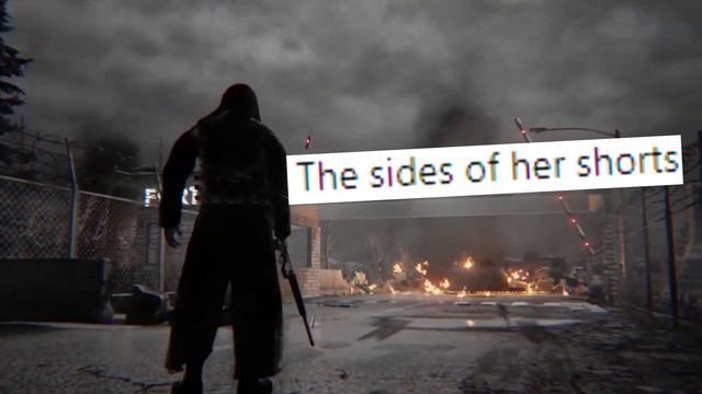 Horni for Silver Wolf but it's HATRED смотреть онлайн