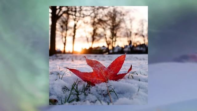 Медитация на белый цвет смотреть онлайн