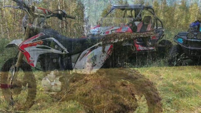 Квадропрогулка на болото Великий Мох смотреть онлайн