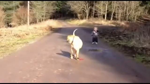 Я иду по лужам смотреть онлайн