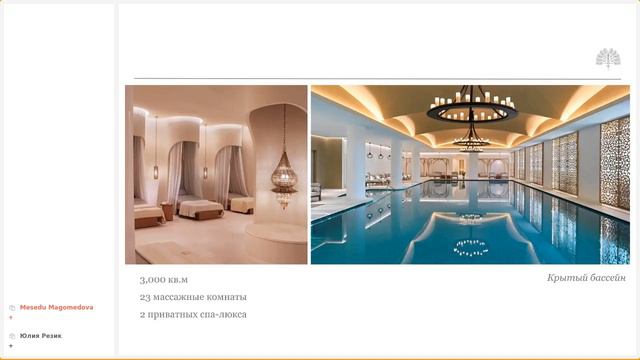 Вебинар с отелями Raffles The Palm и HYDE Dubai! смотреть онлайн