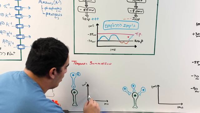 Neurology | Resting Membrane, Graded, Action Potentials смотреть онлайн