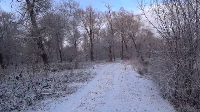 ЛОЗНЯК это что? Погода в Крыму 21.12.21 балует снегом. Крым 2021. река Салгир. смотреть онлайн