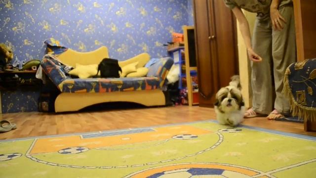 1.Сказка Имандры Станислава 4,5 мес. смотреть онлайн