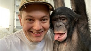 Прямой эфир 21 Апреля | Дан Запашный и шимпанзе Боня