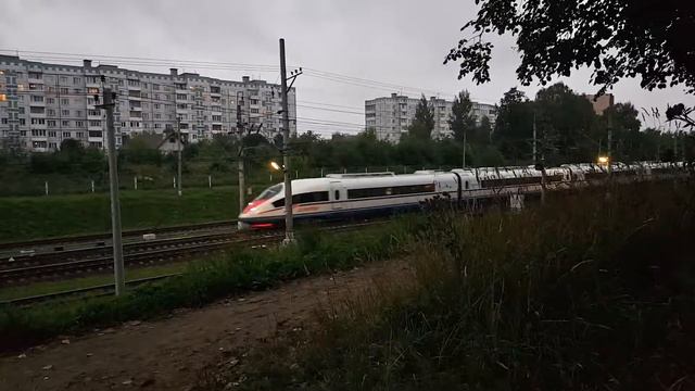 Высокоскоростной электропоезд "Сапсан" ЭВС1-06 Санкт-Петербург-МСК - Москва-Пасс. Ленинградская смотреть онлайн