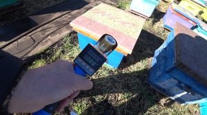 ПРИОБРЁЛ СУБЛИМАТОР,  ОБРАБОТКА ПЧЁЛ ОТ КЛЕЩА ВАРРОА ПАРАМИ ЩАВЕЛЕВОЙ КИСЛОТОЙ, ПРОБНЫЙ ТЕСТ.