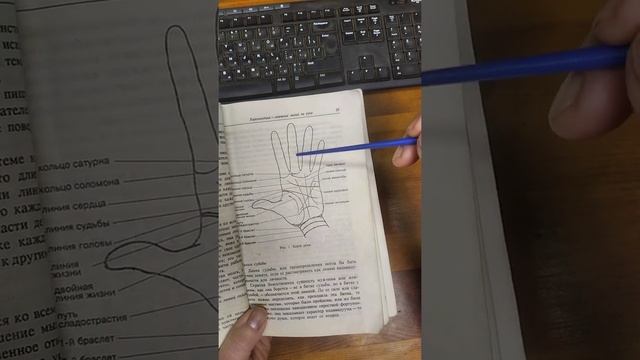 Азы хиромантии. Вы и ваша рука. смотреть онлайн