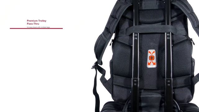 Pegasus| Wenger Business Gear смотреть онлайн