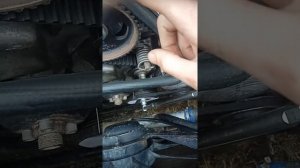 Андория пример настройки тнвд мотерпал