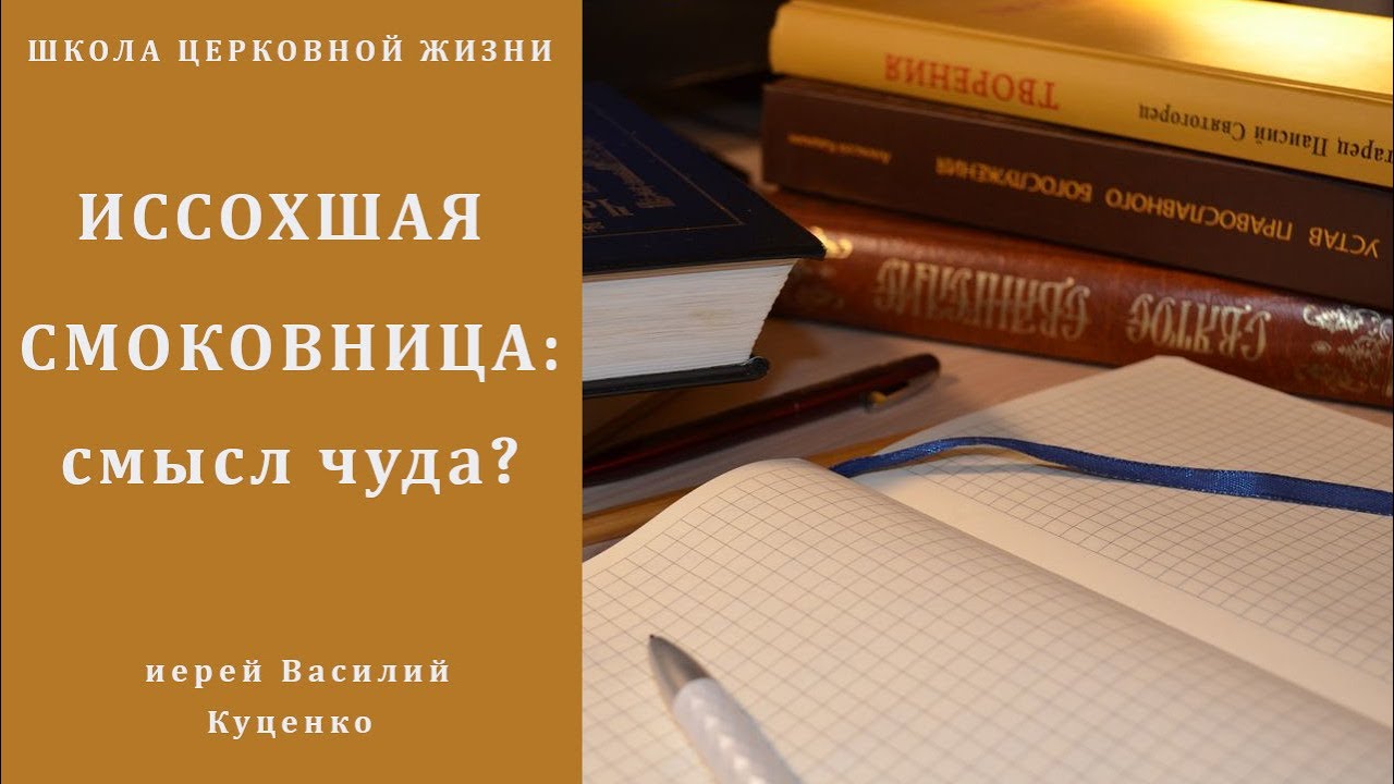 Иссохшая смоковница_ смысл чуда_.mp4 смотреть онлайн