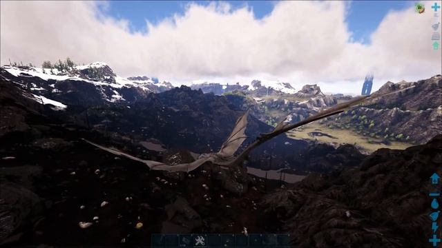 FIRE WYVERN: BEST OVERALL DRAGON смотреть онлайн