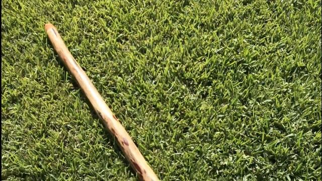 Agave Didgeridoo - "BamBeauty" - Terra Sonos смотреть онлайн