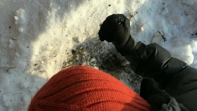 Тест Medford Praetorian