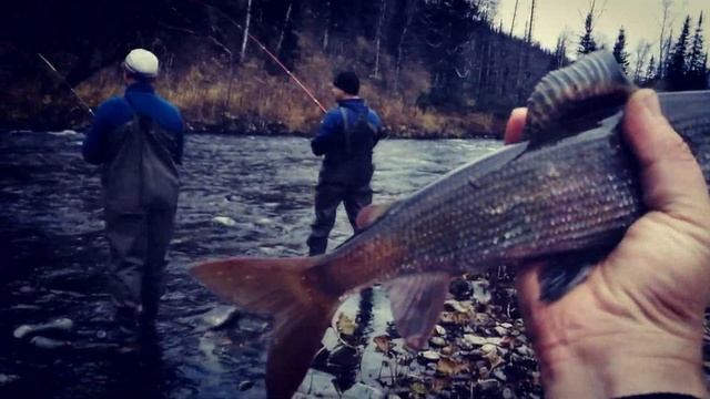 МЕЧТЫ сбываются! Шикарная рыбалка в горах Хакасии и Кузбасса))) 2 часть нашего осеннего замута !! смотреть онлайн