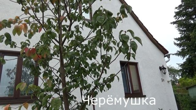 Ну дайте электричество!?? смотреть онлайн
