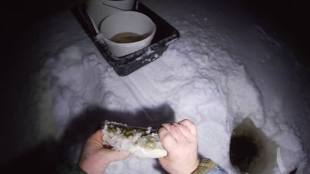 НА НАЛИМА С РУЖЬЁМ \ ПРОВЕРКА ПАЛОК \ ГОТОВИМ НАЛИМА смотреть онлайн