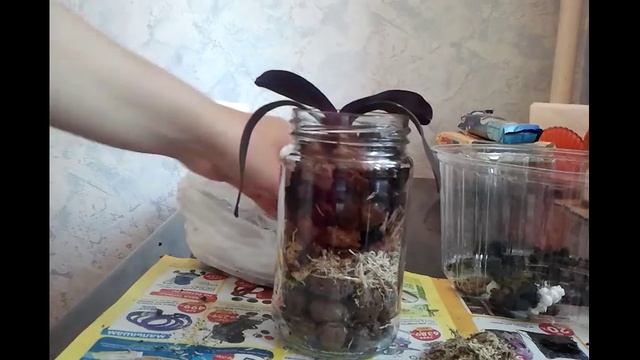 Закрытая система!!!Подросток FALSTAFF!!!!!! смотреть онлайн