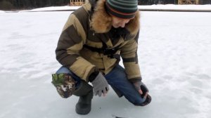 Форель  Ловля на МЯСО, САЛО, КАЛЬМАРА, ХЛЕБ